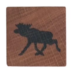 Kylskåpsmagneter