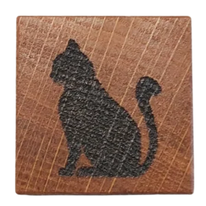 Katt